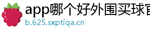 app哪个好外围买球官方版